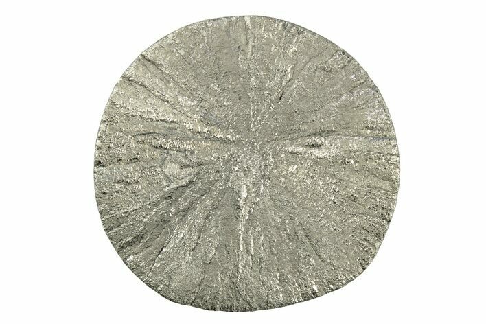 Radiant Pyrite Sun - Sparta, Illinois #342535